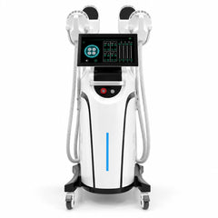 Pulris EMS-RF Body Sculptor - main image 1