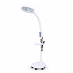 Lumireva Advanced Magnifying Floor Lamp
