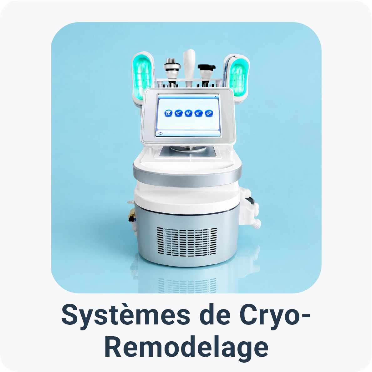 Systèmes de Cryo-Remodelage