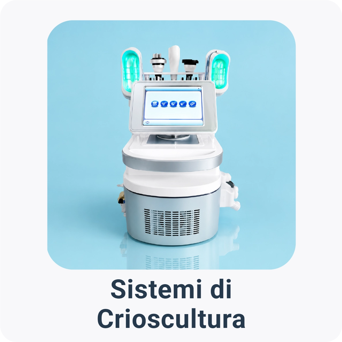 Sistemi di Crioscultura