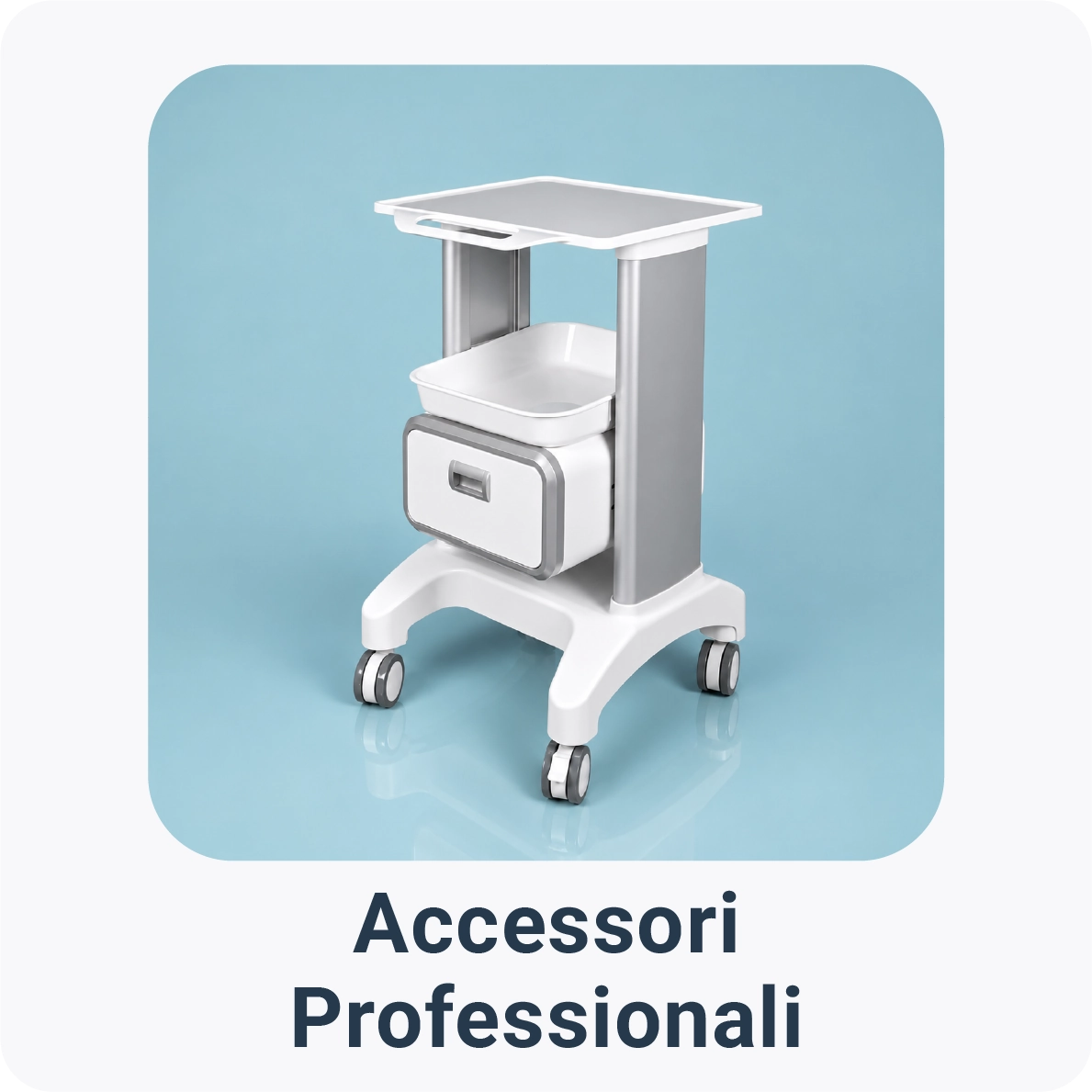 Accessori Professionali